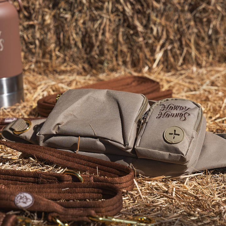 Treat Bag - Midnight