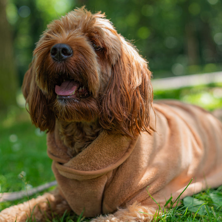 Drying Robe - Ridgewood