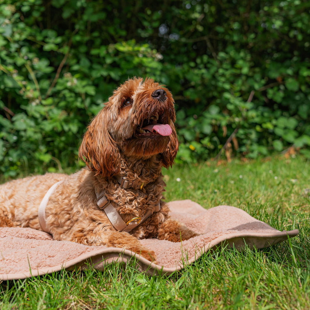 Blanket - Sundown brown