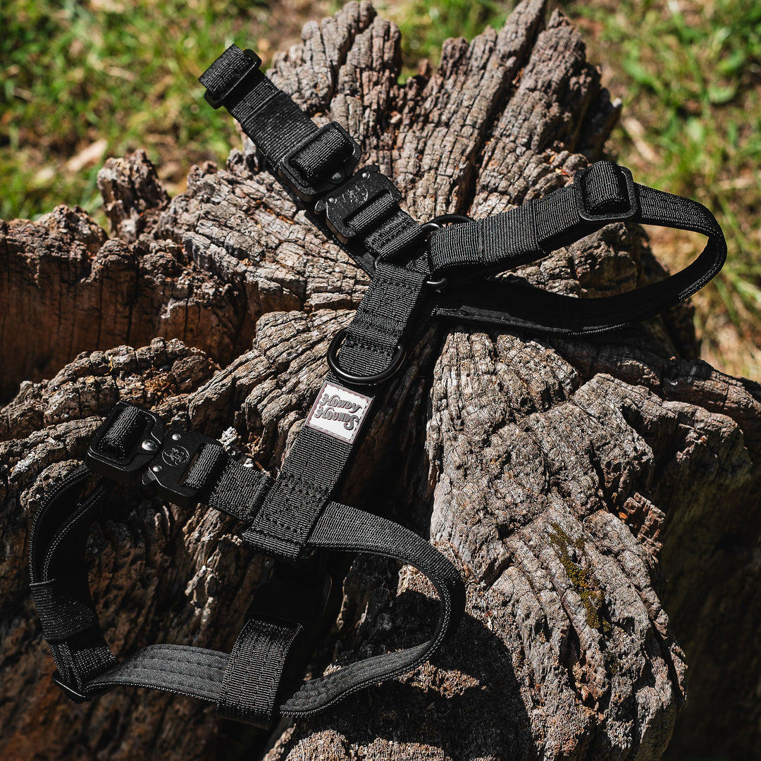 Harness - Saddleback Chestnut