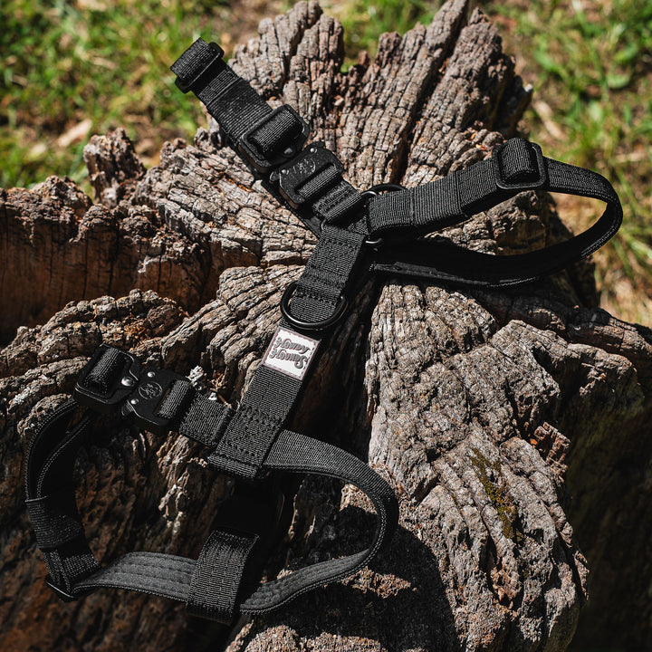 Harness - Saddleback Chestnut