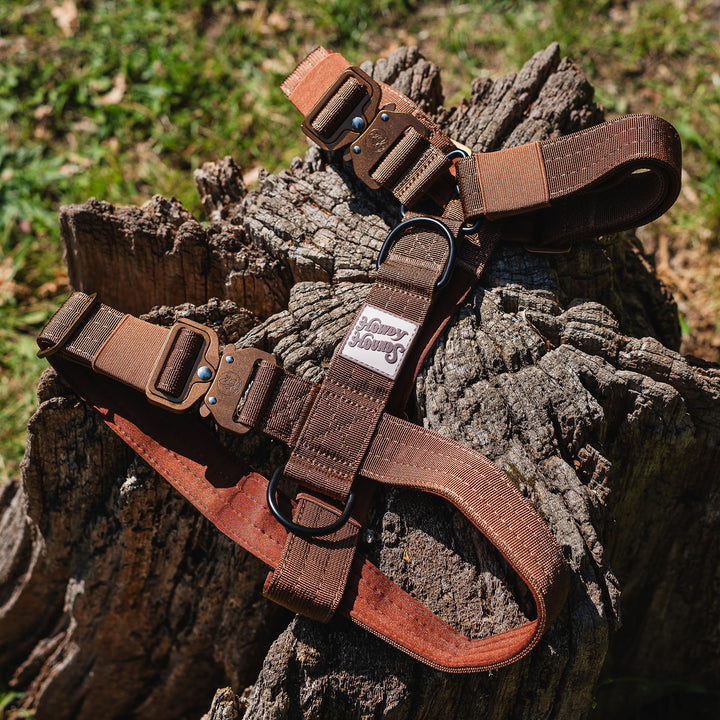 Harness - Saddleback Chestnut