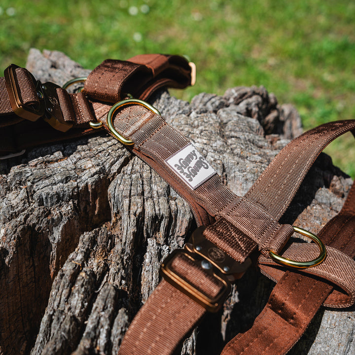 Harness - Saddleback Chestnut