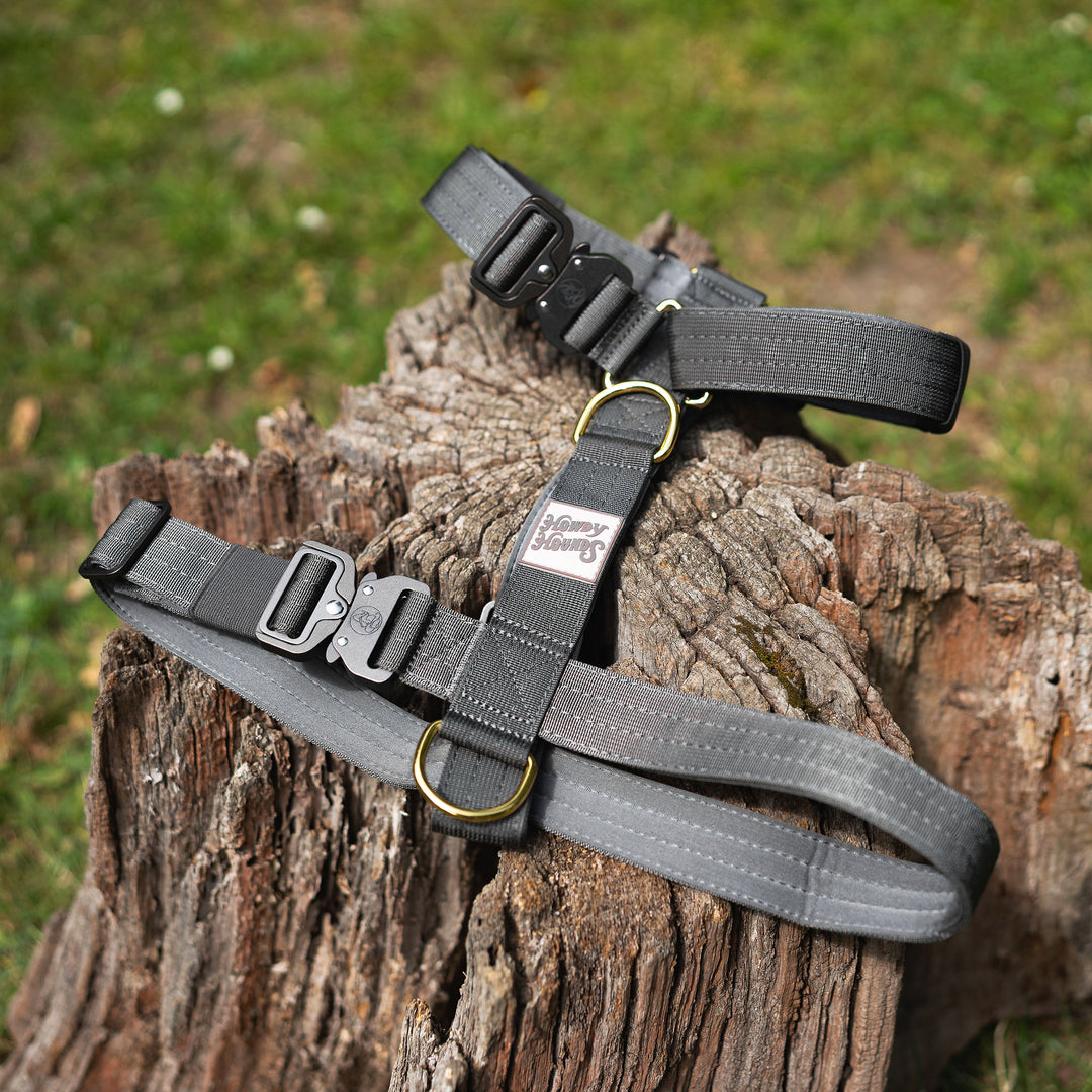 Harness - Saddleback Chestnut