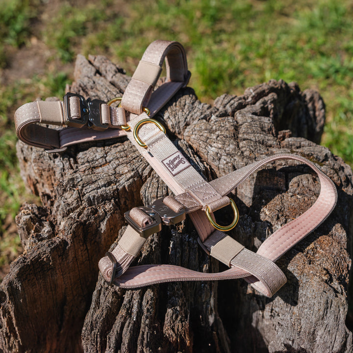 Harness - Saddleback Chestnut