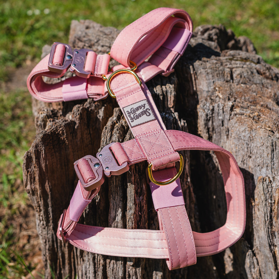 Harness - Saddleback Chestnut