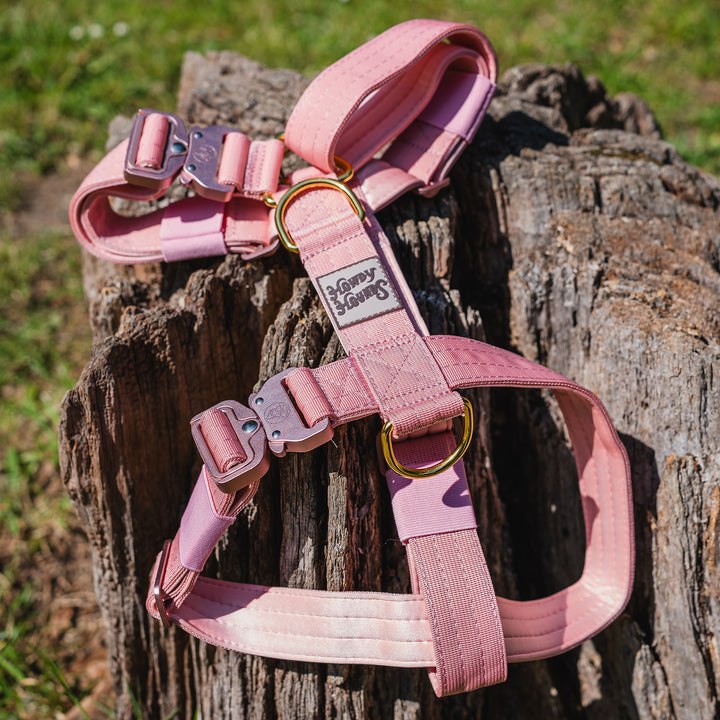 Harness - Saddleback Chestnut