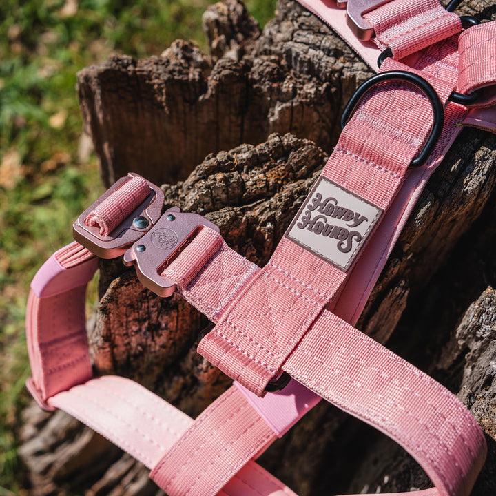 Harness - Saddleback Chestnut