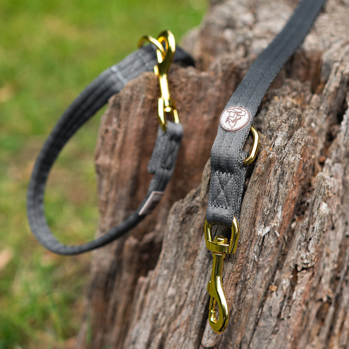 Training Lead - Saddleback Chestnut