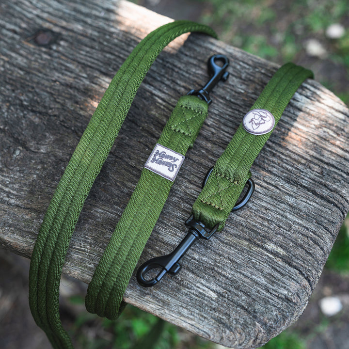 Training Lead - Saddleback Chestnut