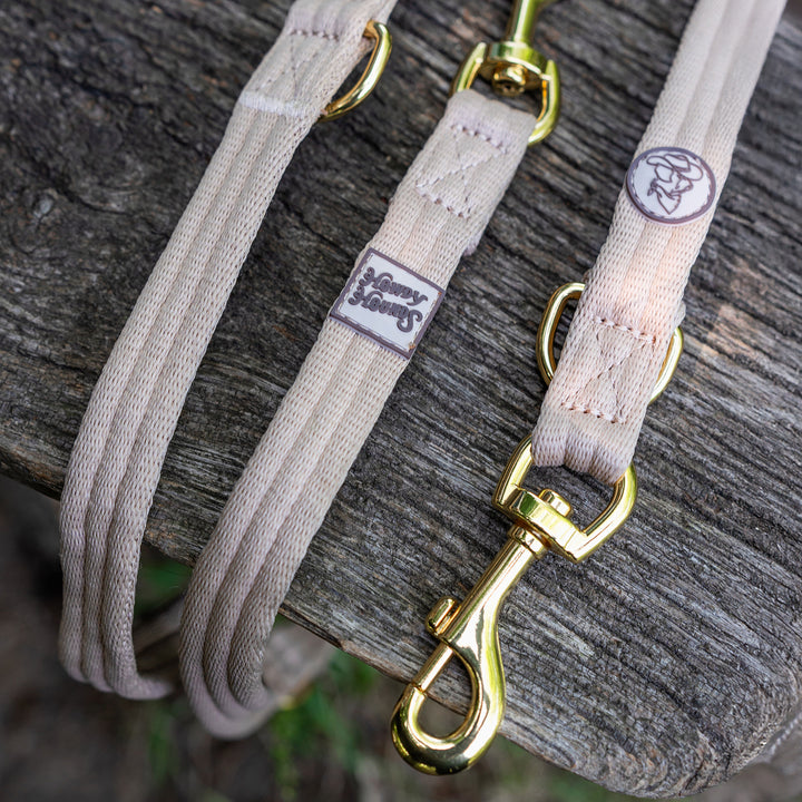 Training Lead - Saddleback Chestnut