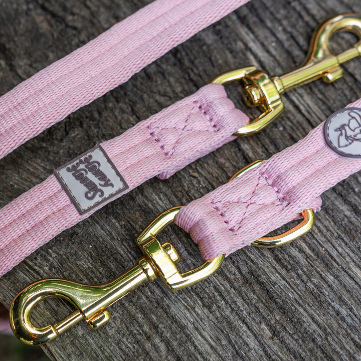 Training Lead - Saddleback Chestnut