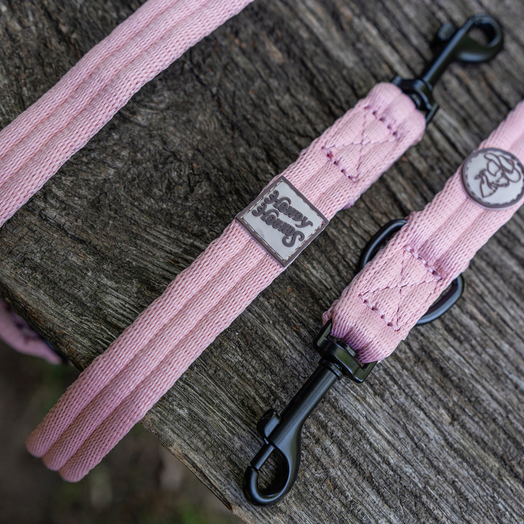 Training Lead - Saddleback Chestnut