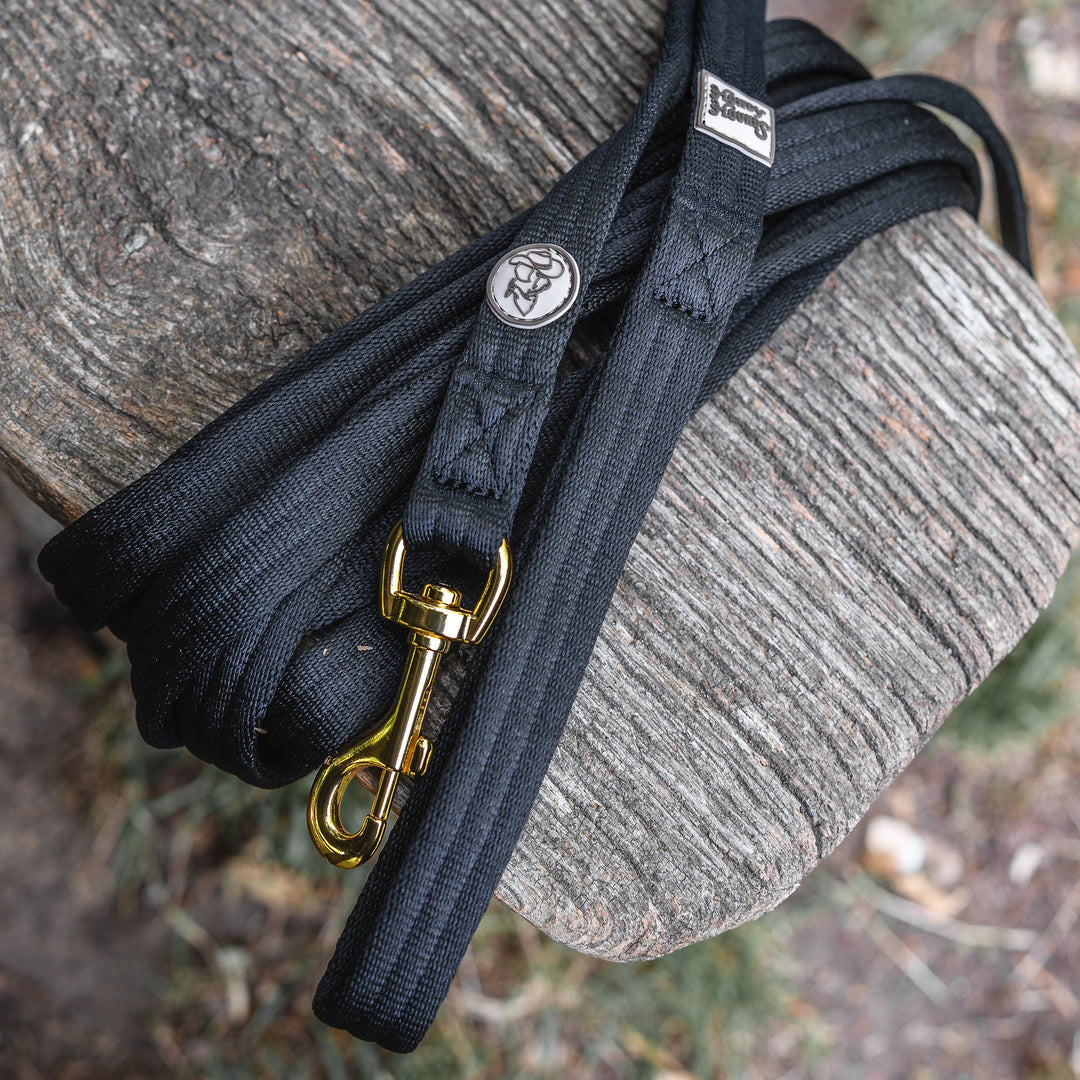 Black dog leash with gold clasp on a wooden post