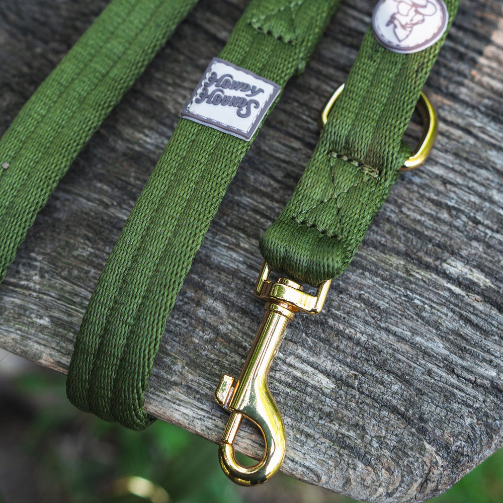 Green dog leash with gold hardware on a wooden surface