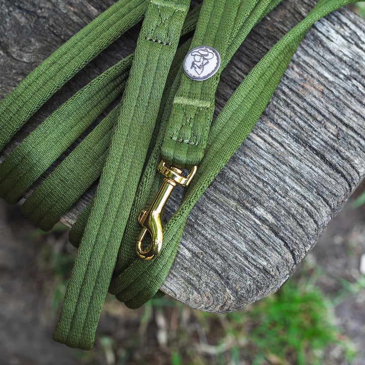 Green dog leash with gold clasp on a wooden post