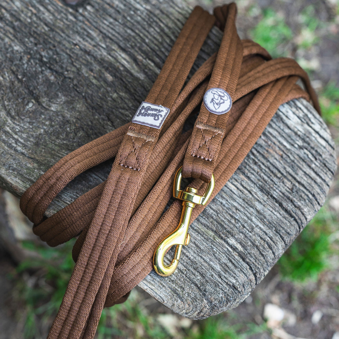 Brown dog leash with gold clasp on a wooden post outdoors