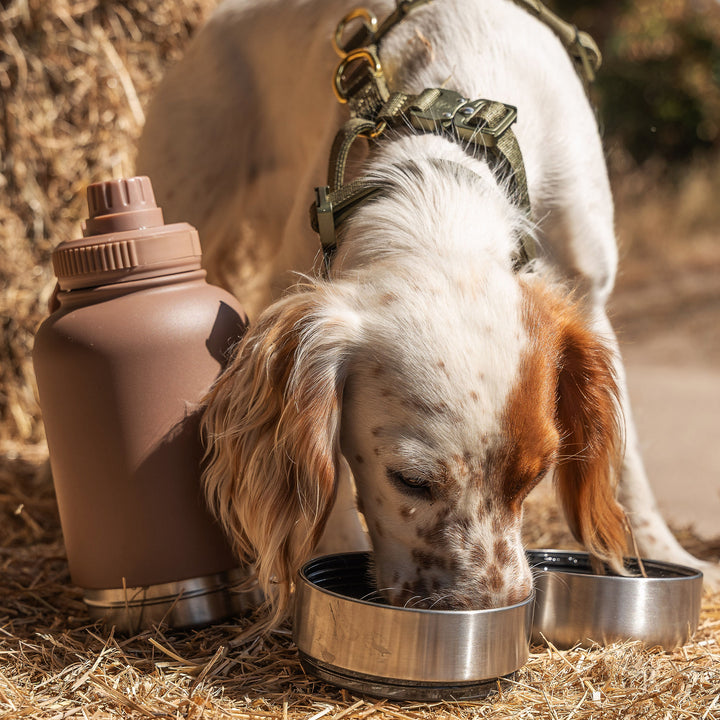 Water Bottle - Ranch wood