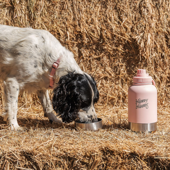 Water Bottle - Midnight